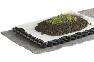  maquette 5 strates de la végétalisation extensive avec rétention d eau : géotextile, drain, feutre filtrant, substrat, sedum