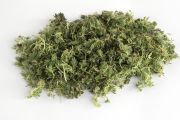Fragment de sedum